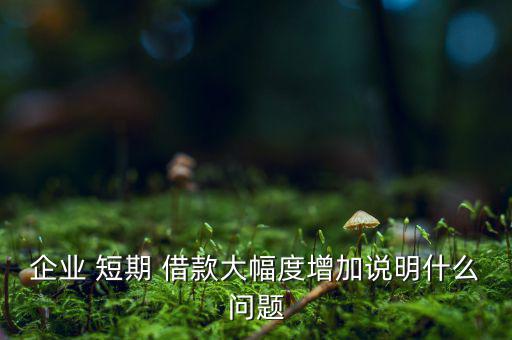 企業 短期 借款大幅度增加說明什么問題