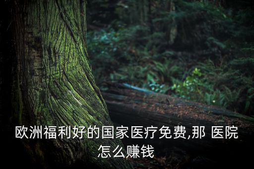 歐洲福利好的國家醫療免費,那 醫院怎么賺錢