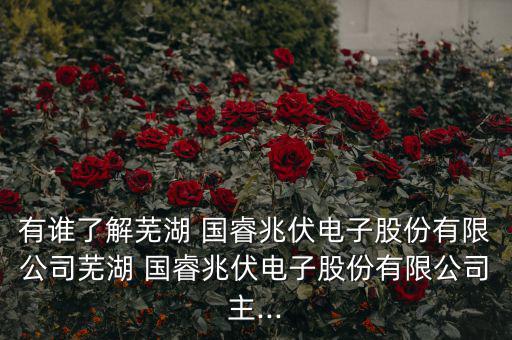 國睿兆伏怎么走,蕪湖國睿兆伏電子有限公司登記企業法人吳偉