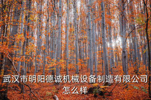 武漢市明陽德誠機械設備制造有限公司怎么樣