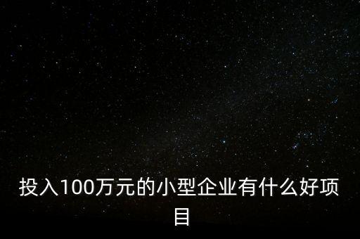 投入100萬元的小型企業有什么好項目
