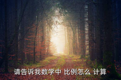 請告訴我數學中 比例怎么 計算