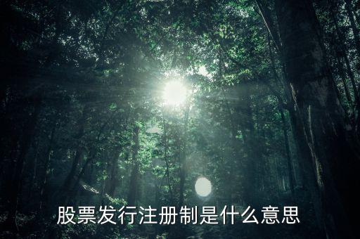 股票發行注冊制是什么意思