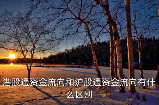 港股通風控資金是什么，港股通資金流向和滬股通資金流向有什么區別