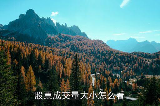 炒股怎么發現量能最大的,量能即市場交易量大則價格更好