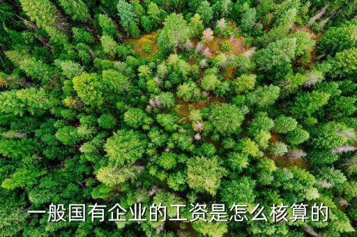 一般國有企業的工資是怎么核算的