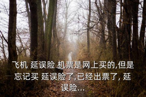 飛機 延誤險 機票是網上買的,但是忘記買 延誤險了,已經出票了, 延誤險...