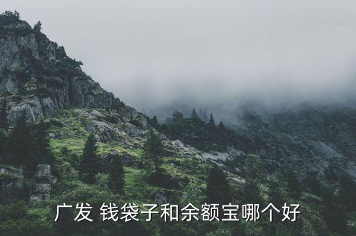 廣發基金錢袋子怎么樣,廣發錢袋子