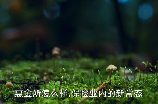 北京惠金所怎么樣,保險業內的新常態