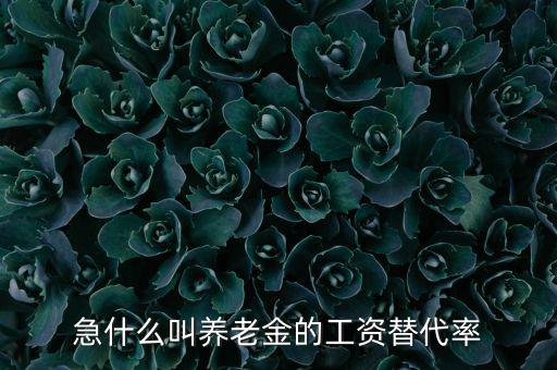 急什么叫養老金的工資替代率