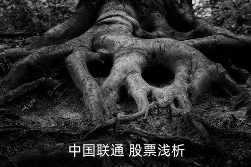  中國聯通 股票淺析