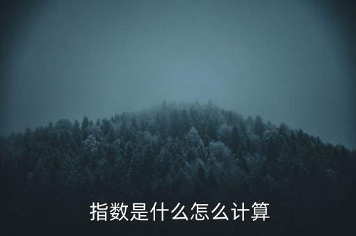  指數是什么怎么計算