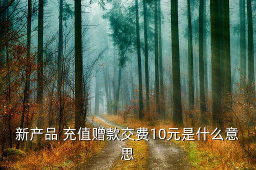 新產品 充值贈款交費10元是什么意思