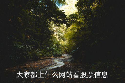 大家都上什么網站看股票信息