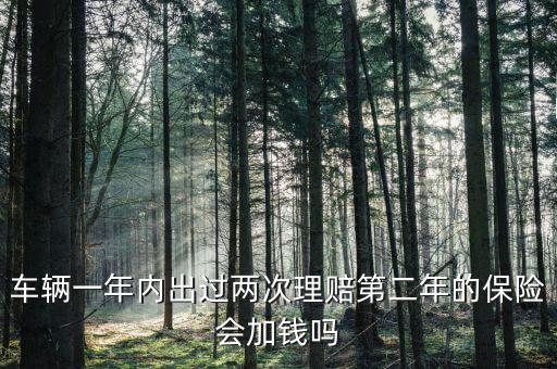 一年中兩次事故理培有什么影響，車輛一年內出過兩次理賠第二年的保險會加錢嗎