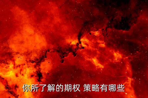 牛策略怎么樣啊,創業公司如何培養人才?