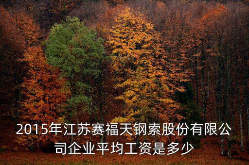 賽福天是什么公司，2015年江蘇賽福天鋼索股份有限公司企業平均工資是多少
