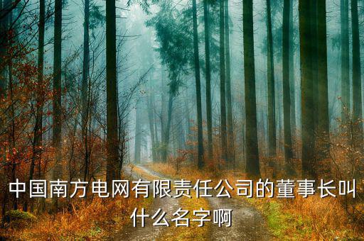 南方電網董事長是什么級別，南方電網是的老總是部級嗎