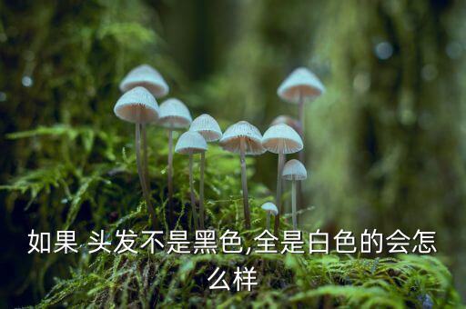 貪官受審頭發怎么都是白的,人老了頭發全白了想起很老的人!