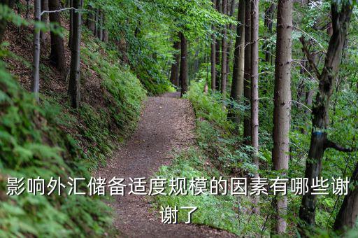 什么樣的外匯儲備規模是合理的，我國的外匯儲備規模是否合理