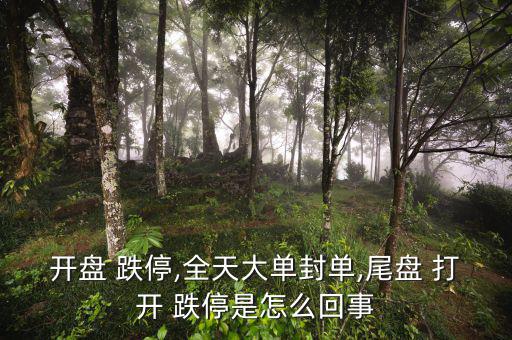 開(kāi)盤 跌停,全天大單封單,尾盤 打開(kāi) 跌停是怎么回事