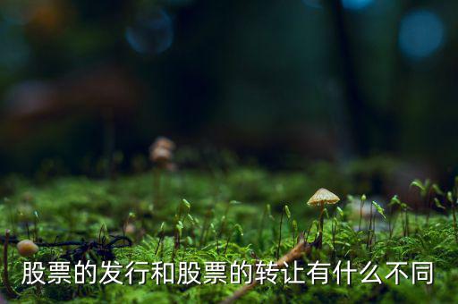 股票的發行和股票的轉讓有什么不同