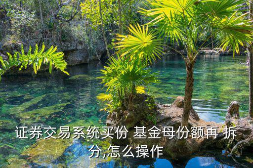 證券交易系統買份 基金母份額再 拆分,怎么操作