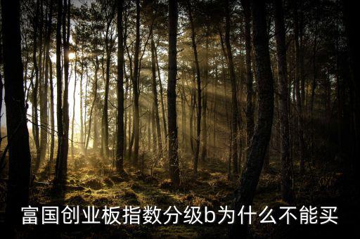 富國創業板指數分級b為什么不能買