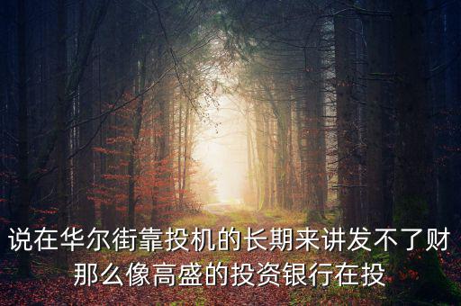 說在華爾街靠投機的長期來講發不了財那么像高盛的投資銀行在投