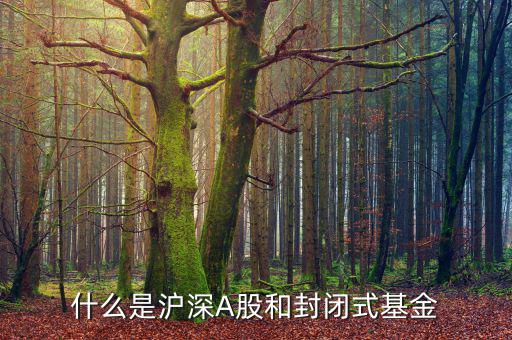 什么是上證封閉基金，請(qǐng)問什么是上海封閉式基金操作跟股票一樣嗎