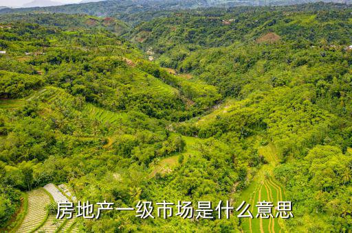 房地產一級市場是什么意思
