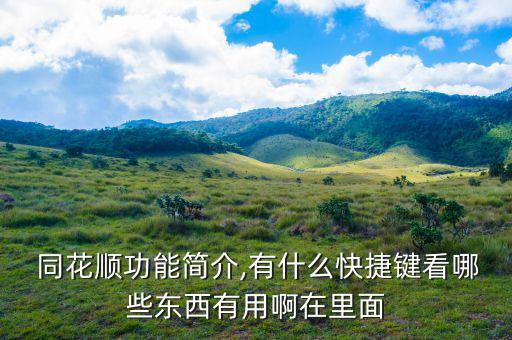 同花順主圖怎么用,同花shun輸入系統有幾種方法進入