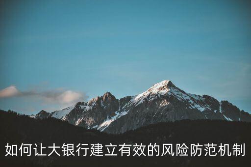 什么是大而不倒問題，如何讓大銀行建立有效的風險防范機制