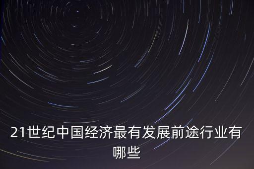21世紀中國經濟最有發展前途行業有哪些