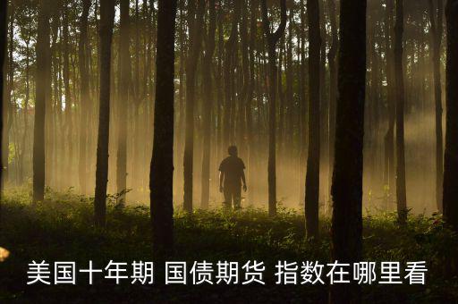 美國十年期 國債期貨 指數在哪里看