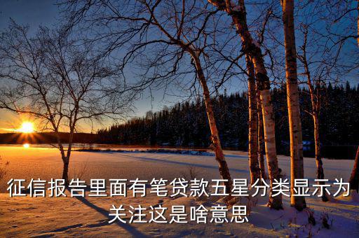 征信報告里面有筆貸款五星分類顯示為關注這是啥意思
