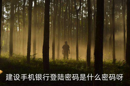 建設手機銀行登陸密碼是什么密碼呀