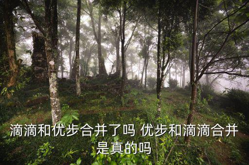 滴滴和優步合并了嗎 優步和滴滴合并是真的嗎