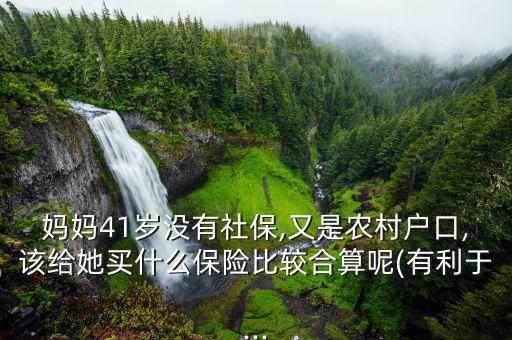 媽媽41歲沒有社保,又是農村戶口,該給她買什么保險比較合算呢(有利于...