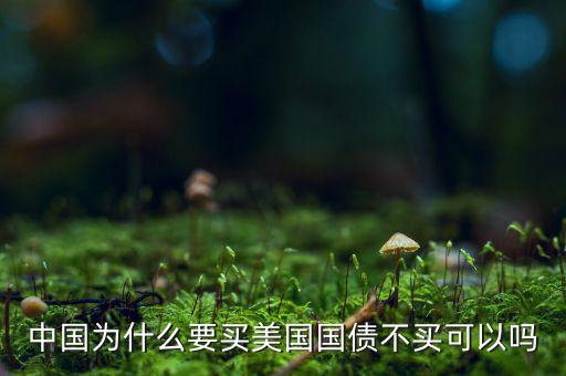 中國(guó)為什么一定要買美國(guó)國(guó)債，中國(guó)為什么要把那么多的黃金存放到美國(guó)