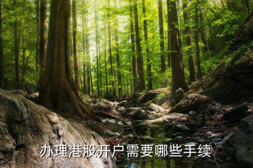 辦理港股開戶需要哪些手續