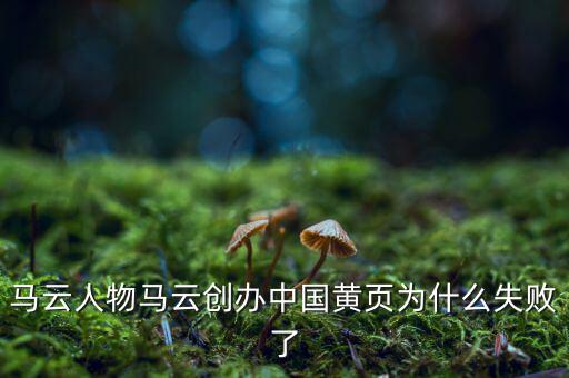 馬云人物馬云創辦中國黃頁為什么失敗了