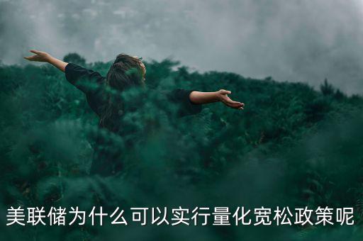 美聯儲為什么可以實行量化寬松政策呢