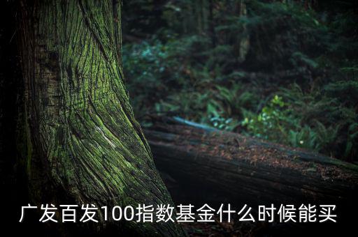 廣發百發100指數基金什么時候能買