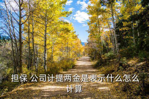 擔保公司獎金怎么算,傭金結算金額是按照當前合同付款比例計算