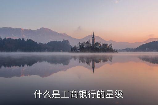 工行星點值是什么意思，工行貴金屬買賣持倉算不算星點值
