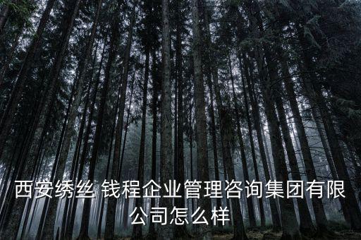 西安繡絲 錢程企業管理咨詢集團有限公司怎么樣