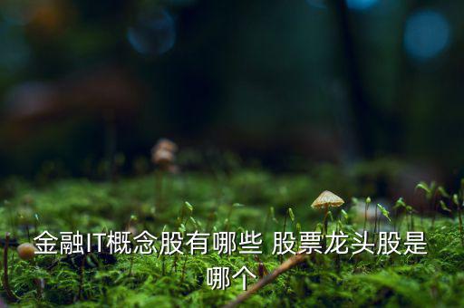 金證股份股票怎么樣,股價處于起步階段金融股四大優勢