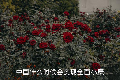 中國什么時候會實現全面小康