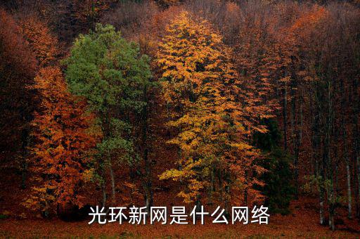 光環(huán)電信和光環(huán)新網有什么關系，光環(huán)新網是什么網絡